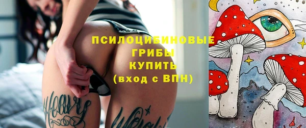 Альфа ПВП Арсеньев